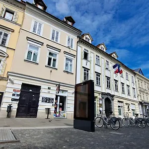 Affittacamere Viksi 