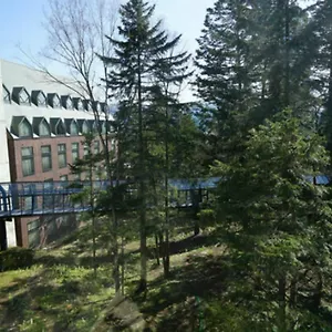 Alpha Village Tomamu 度假村 占冠村